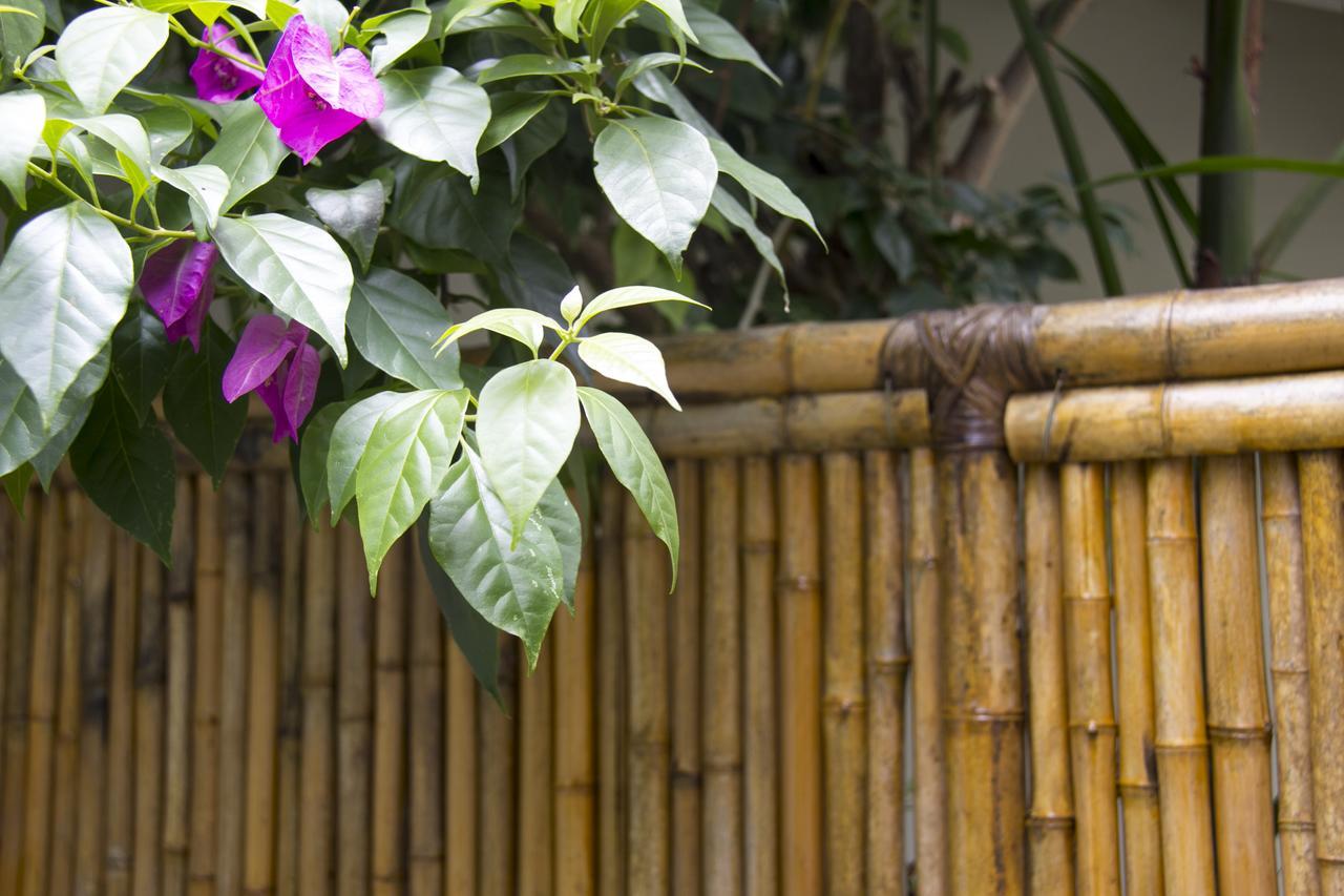 Casa Clara Paraty Eksteriør billede